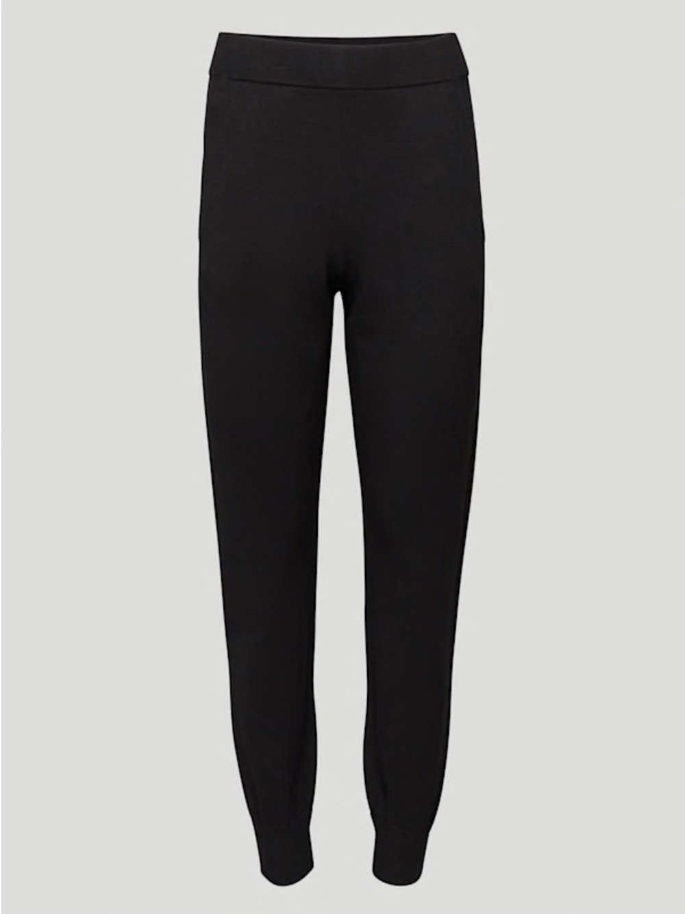 Aritzia Babaton Rodin Jogger — Black, Size M